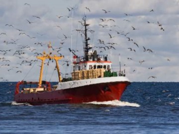 Κατάσχεση 4,5 τόνων αλιευμάτων από ιταλικό σκάφος