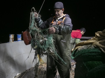 Δίχτυα γεμάτα με ψάρια αλλά και πλαστικό βγάζουν οι τράτες- Πρόγραμμα χρηματοδοτεί την καταγραφή της ψαριάς σε 8 μηχανότρατες στο Β. Αιγαίο