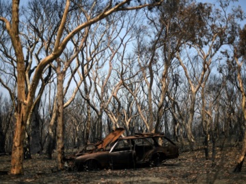 Αυστραλία: Οι καταιγίδες έσβησαν πυρκαγιές που μαίνονταν στο ανατολικό τμήμα της χώρας