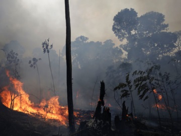 Κλιματική αλλαγή: Ρεκόρ πυρκαγιών στα τροπικά δάση της Βενεζουέλας – Δάνειο $750 εκ. της Παγκόσμιας Τράπεζας στην Κολομβία για το περιβάλλον