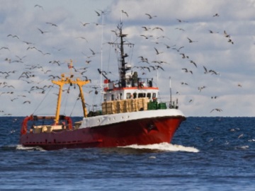 Ν. Σαντορινιός: Η πλειονότητα των ψαράδων εξαιρείται από τις ευρωπαϊκές χρηματοδοτήσεις