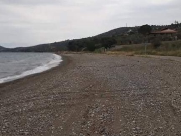 Εθελοντές καθάρισαν την παραλία στην Ψήφτα και την Μεταμόρφωση