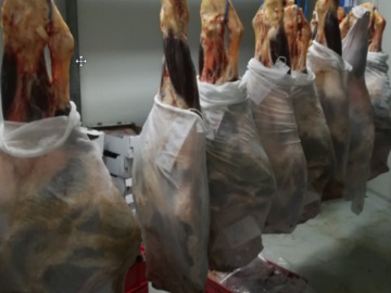 Έφοδος ΣΔΟΕ στον Πειραιά: Κατάσχεσαν 7 τόνους σάπια κρέατα!