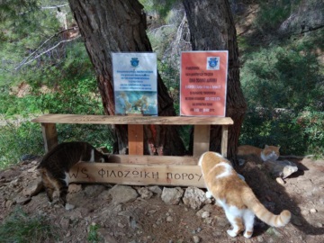 O Σύλλογος Φροντίδας Αδέσποτων Ζώων Πόρου &quot;PAWS&quot; τοποθέτησε ταΐστρες σε διάφορα σημεία του νησιού