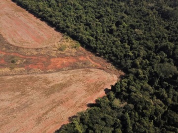 Ποιες χώρες της ΕΕ έμειναν εκτός στη δέσμευση για την αποψίλωση των δασών