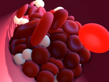 Γεροτζιάφας για εμβόλια mRNA: Αποκάλυψε μελέτη της Σορβόνης για την πήξη του αίματος – Τι έδειξαν τα αποτελέσματα