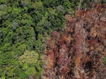 Ο Αμαζόνιος εκπέμπει SOS - Εκπέμπει περισσότερο διοξείδιο του άνθρακα απ΄όσο απορροφά