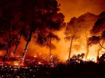 Φωτιά στον Σχίνο Κορινθίας: Εκκενώνονται τρεις ακόμη περιοχής – Μήνυμα εκτάκτου ανάγκης από το 112