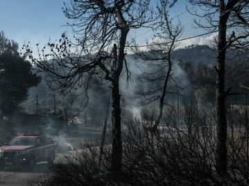 Γεράνεια Όρη: Συγκλονίζουν τα ντοκουμέντα από την πύρινη λαίλαπα – Τεράστια οικολογική καταστροφή