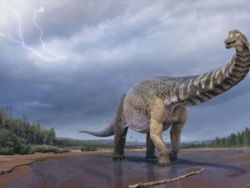 Αυστραλοτιτάν: Ο μεγαλύτερος δεινόσαυρος στην Αυστραλία - Είχε μήκος όσο ένα γήπεδο μπάσκετ