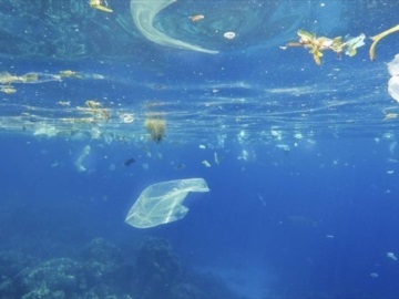 730 τόνοι απορριμμάτων στη Μεσόγειο κάθε μέρα - ΕΚ: Μέτρα περιορισμού του πλαστικού στους ωκεανούς