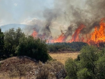 Ναύπλιο: Φωτιά σε δασική έκταση στο Αραχναίο