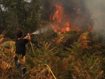 Ξέφυγε η φωτιά στην Εύβοια - Στον Δήμο Ιστιαίας Αιδηψού οι φλόγες - Εισήγηση για εκκένωση σε Μαντούδι και Κυμάσι