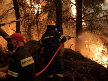 Βόρεια Εύβοια: Ολονύχτια μάχη με τις φλόγες για να μη φτάσει η φωτιά στην Ιστιαία