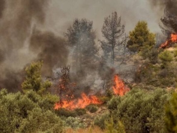 Πολύ υψηλός κίνδυνος πυρκαγιάς αύριο Παρασκευή σε Αττική, Εύβοια και άλλες τρεις περιοχές
