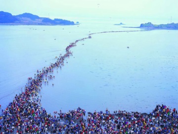 Μία φορά το χρόνο, η θάλασσα Jindo χωρίζει στα δύο και ένα μονοπάτι αποκαλύπτεται που ενώνει δυο κορεάτικα νησιά