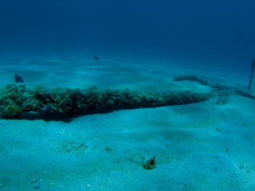 Σπάνια άγκυρα 2.000 ετών βρέθηκε ανοικτά της Αγγλίας στο βυθό της Β. Θάλασσας