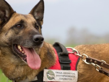Ο πρώτος σκύλος ανιχνευτής δηλητηριασμένων δολωμάτων, βγήκε στη «σύνταξη»