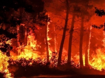 Την τελευταία εξαετία σημειώθηκαν οι τρεις χειρότερες περίοδοι δασικών πυρκαγιών που έχουν καταγραφεί ποτέ στην Ευρώπη