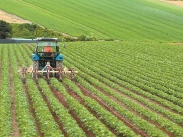 Covid-19: Η Κομισιόν ενέκρινε ελληνικό πρόγραμμα 31,5 εκατ. ευρώ για τη στήριξη αγροτικών παραγωγών