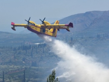 Φωτιά σε δύσβατη δασική περιοχή στη Μόλα Καλύβα- Ενισχύονται οι δυνάμεις