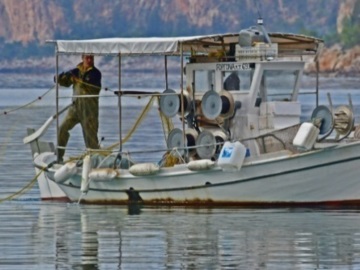 Απαγορεύουν το ψάρεμα στην Αλεξανδρούπολη από τις 15 Απριλίου έως τις 30 Μαΐου