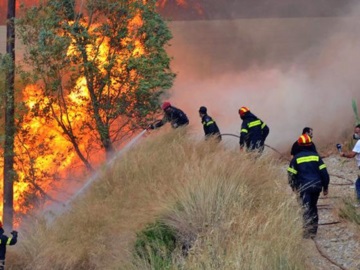 Δασικές πυρκαγιές: Από την αρχή του έτους έχουν ξεσπάσει 3.272 – Τι δείχνουν τα στοιχεία της Πυροσβεστικής