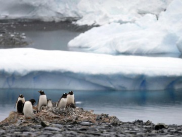 Ανησυχητικό εύρημα: Για πρώτη φορά βρέθηκαν μικροπλαστικά σε φρέσκο χιόνι στην Ανταρκτική