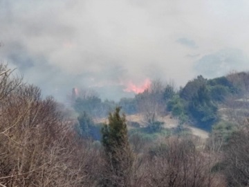 Σάμος: «Μάχη» των πυροσβεστών για τον έλεγχο της πυρκαγιάς στην περιοχή Παλαιοχώρι