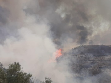Φωτιά στην Ηλεία: Ενισχύθηκαν οι πυροσβεστικές δυνάμεις στα Άγναντα - Τραυματίστηκε ένας ακόμη πυροσβέστης