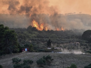 Συναγερμός στην πυροσβεστική: Μεγάλη φωτιά στη Μεσσηνία και μήνυμα του 112 για εκκένωση