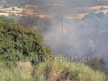 Μεγάλη φωτιά στην Στυλίδα με κατεύθυνση το χωριό Λογγίτσι