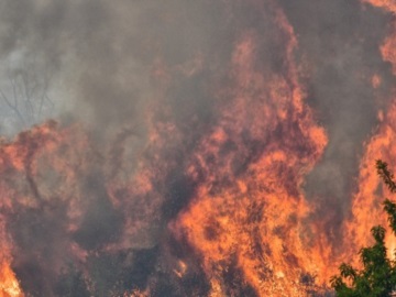 Σε ύφεση η φωτιά στη Σαμοθράκη- Σε εξέλιξη στο Πετρωτό Δομοκού - 65 δασικές πυρκαγιές το τελευταίο 24ωρο