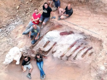 Το απολίθωμα του μεγαλύτερου δεινοσαύρου που έχει βρεθεί ποτέ στην Ευρώπη εντοπίστηκε σε κήπο στην Πορτογαλία