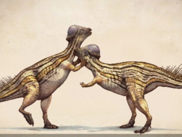 Ανακαλύφθηκαν δεινόσαυροι που φορούσαν… κράνος