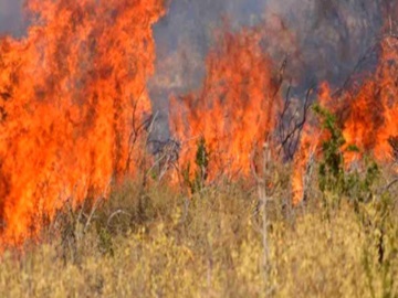 Φωτιά στα Καλύβια Θορικού – Διακοπή κυκλοφορίας στη Λεωφόρο Αναβύσσου, από το ύψος της Αγίας Παρασκευής