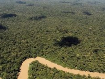 Ο πλανήτης έχανε το 2022 μια επιφάνεια τροπικού δάσους ίση με ένα γήπεδο ποδοσφαίρου κάθε 5 δευτερόλεπτα