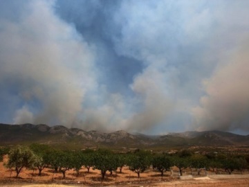 Πολύ υψηλός κίνδυνος πυρκαγιάς αύριο σε Αττική, Στερεά Ελλάδα και Πελοπόννησο