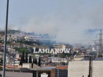 Λαμία: Οι φλόγες φτάνουν στα πρώτα σπίτια στον Αφανό (βίντεο)