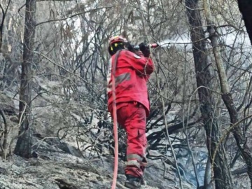 Μεσσηνία: Μεγάλη κινητοποίηση για πυρκαγιά στο Γλυκορρίζι