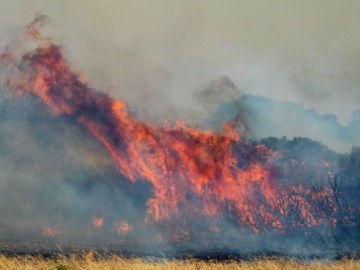 62 δασικές πυρκαγιές το τελευταίο εικοσιτετράωρο - Οριοθετήθηκε η φωτιά στον Άγιο Γεώργιο Θάσου