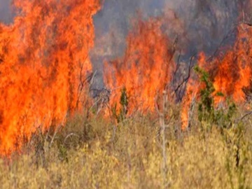 Πολύ υψηλός κίνδυνος πυρκαγιάς και την Κυριακή στα νησιά του Αργοσαρωνικού 