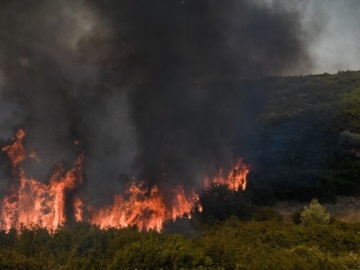 Πυρκαγιά σε δασική έκταση μετά τα διόδια Ελευσίνας 