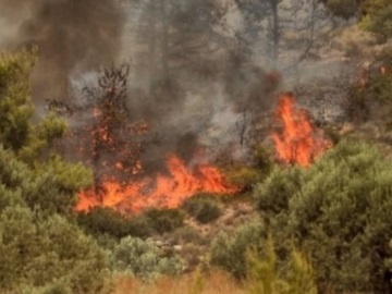 Πυρκαγιά σε αγροτοδασική έκταση, στη Μελία Αλεξανδρούπολης