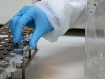 ΕΟΔΥ: 58 τα κρούσματα από τον ιό του Δυτικού Νείλου, 8 οι θάνατοι