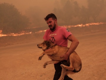 Ο Λεωνίδας Ρόδης είναι ο άνθρωπος που έσωσε ζώα μέσα από το πύρινο μέτωπο στη Φυλή - φωτογραφίες