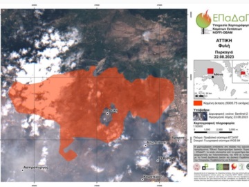 Πυρκαγιές: Κάηκαν 617.000 στρέμματα στον Έβρο και 50.000 στη Φυλή – Εικόνες από δορυφόρο