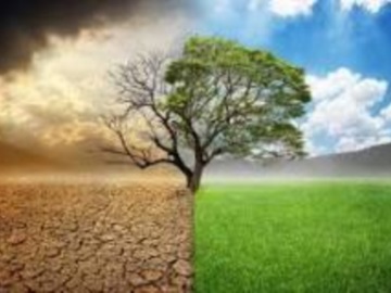 Έρευνα METEO: Η ενίσχυση του κλιματικού εγγραμματισμού συμβάλλει στην κατανόηση των κινδύνων της κλιματικής αλλαγής