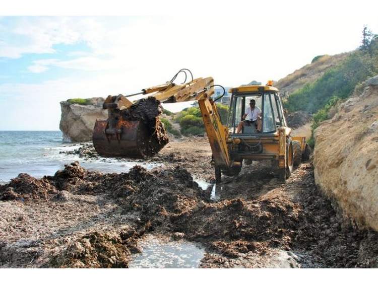 Αίγινα: Καθαρίζονται από τα φύκια οι παραλίες της Βαγίας