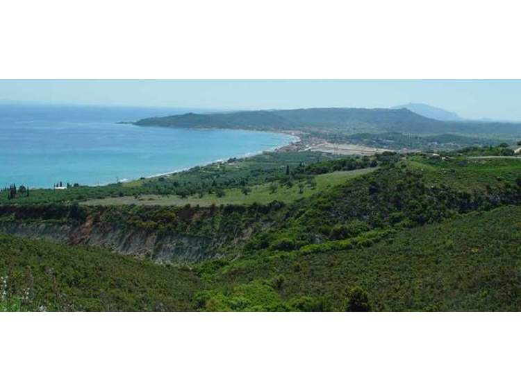Κοινή δήλωση βουλευτών ΣΥΡΙΖΑ για τους δασικούς χάρτες στα νησιά